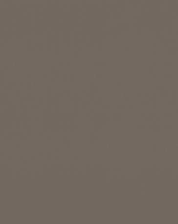 PP שמפניה מסורק R12