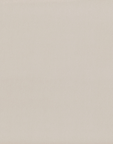  PP פנינה מסורק R13