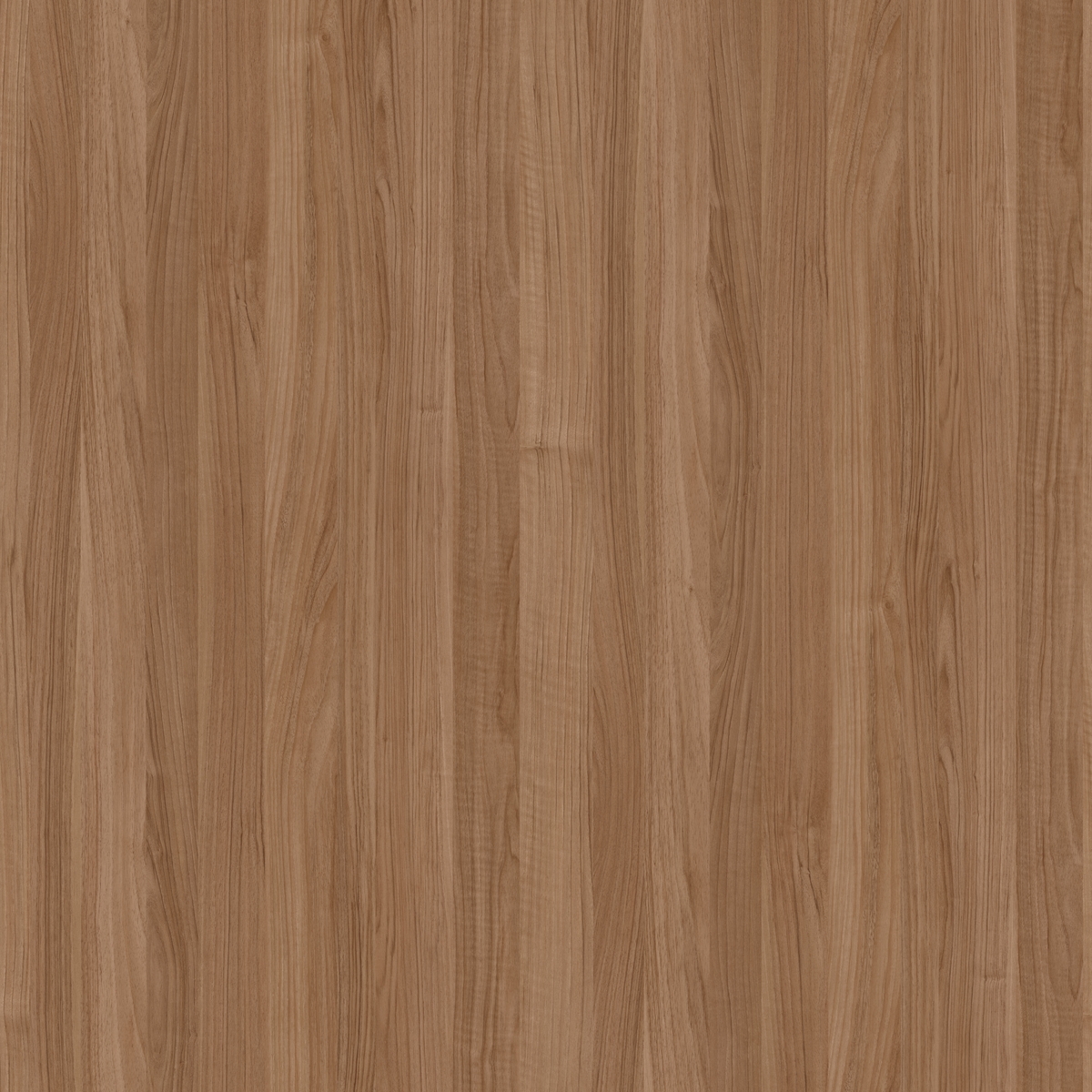 קולקציית למיטאצ' + PP - קולקציית חומרים מבית PORTA-LINE | בלורן פרזול