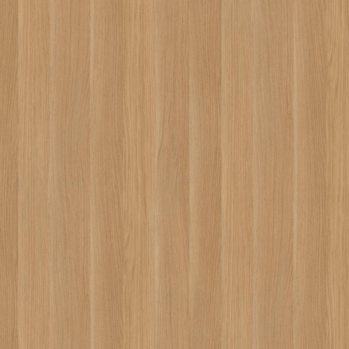 קולקציית למיטאצ' + PP - קולקציית חומרים מבית PORTA-LINE | בלורן פרזול