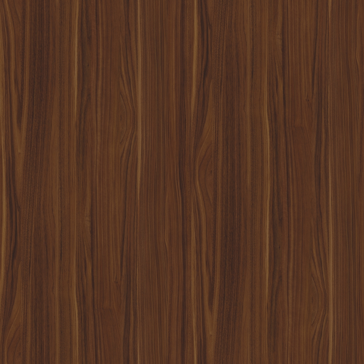 קולקציית למיטאצ' + PP - קולקציית חומרים מבית PORTA-LINE | בלורן פרזול