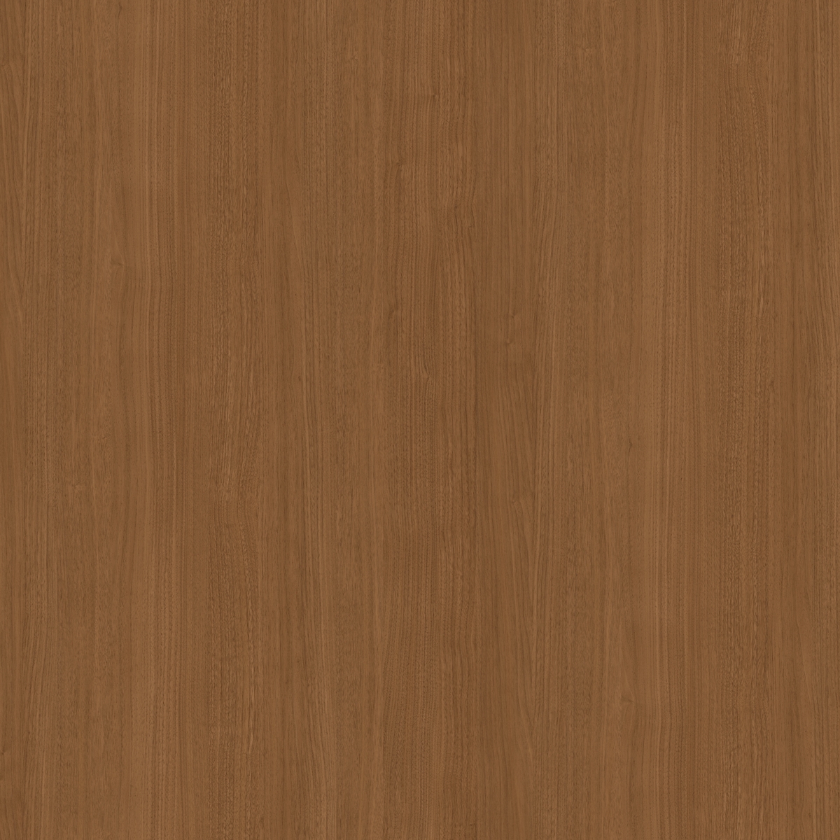 קולקציית למיטאצ' + PP - קולקציית חומרים מבית PORTA-LINE | בלורן פרזול קולקציית למיטאצ' + PP - קולקציית חומרים מבית PORTA-LINE | בלורן פרזול