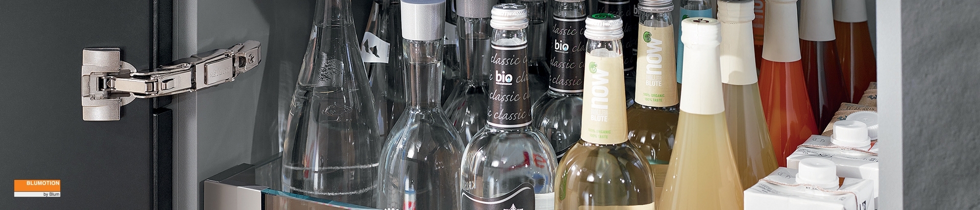 צירים לארונות מזווה - קליפ טופ בלומושן | בלורן מוצרי פרזול איכותיים צירים לארונות מזווה - קליפ טופ בלומושן | בלורן מוצרי פרזול איכותיים