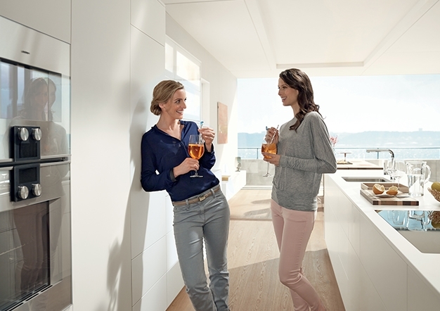 ציר למקרר אינטגרלי | בלורן מוצרי פרזול איכותיים ציר למקרר אינטגרלי | בלורן מוצרי פרזול איכותיים