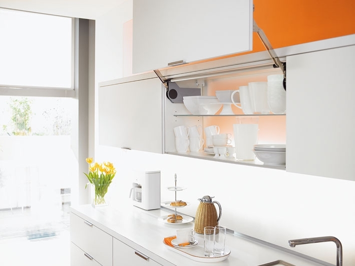 קלפה אוונטוס HL | בלורן מוצרי פרזול איכותיים קלפה אוונטוס HL | בלורן מוצרי פרזול איכותיים