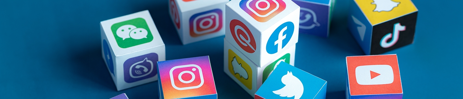 הפרויקט שלך - החשיפה עלינו | בלורן פרזול הפרויקט שלך - החשיפה עלינו | בלורן פרזול