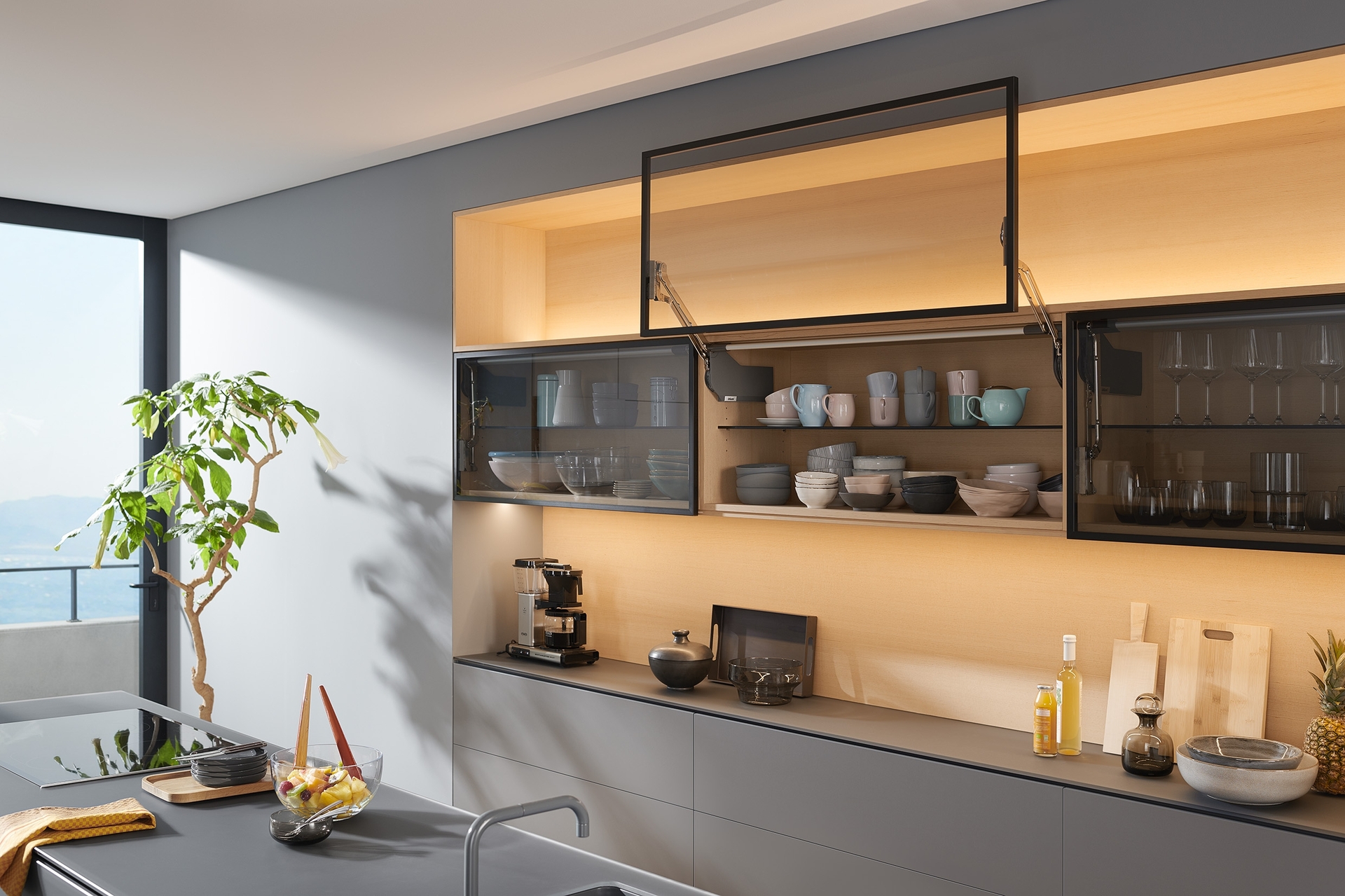 קלפה אוונטוס HL | בלורן מוצרי פרזול איכותיים קלפה אוונטוס HL | בלורן מוצרי פרזול איכותיים