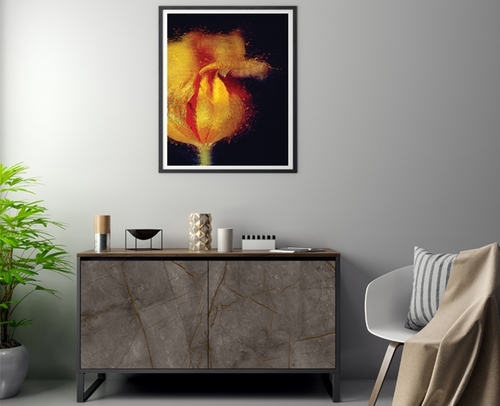 תמונת בלורן