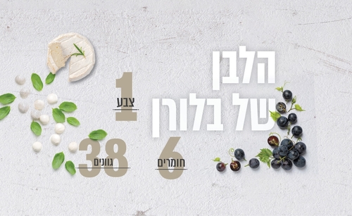 תמונת בלורן