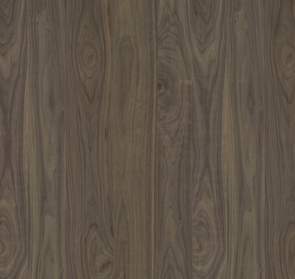 בחרו דגם פורניר בחרו דגם פורניר