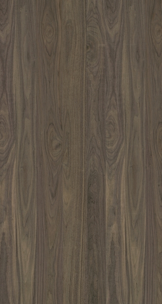 תמונת בלורן