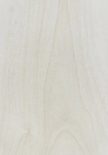 תמונת בלורן