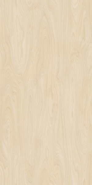 תמונת בלורן