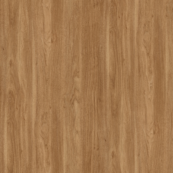 תמונת בלורן תמונת בלורן