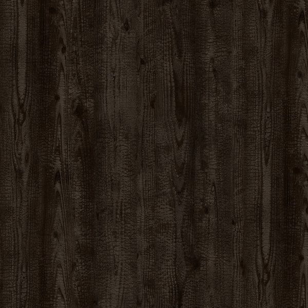 תמונת בלורן תמונת בלורן