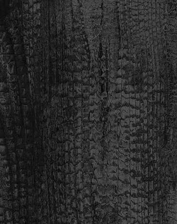 תמונת בלורן