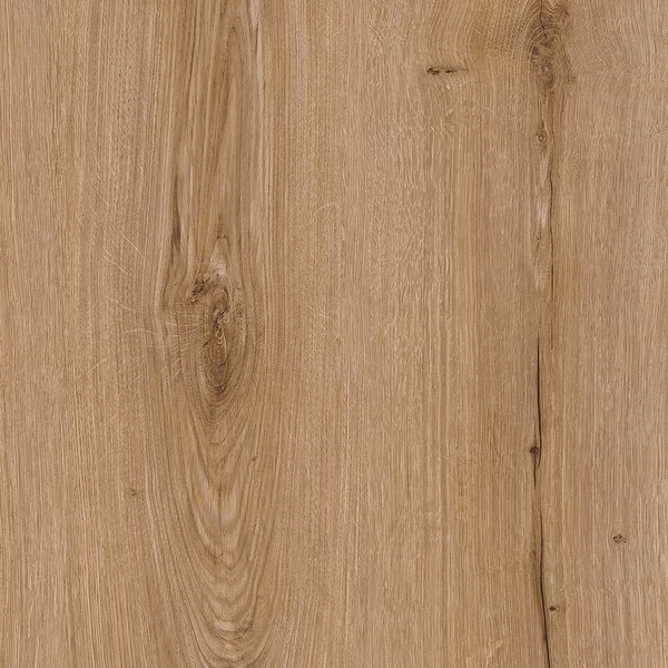 בחרו דגם למיטקס בחרו דגם למיטקס