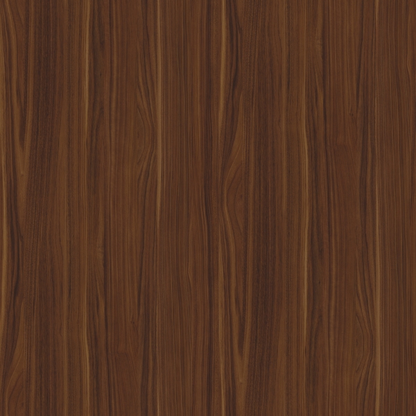 תמונת בלורן תמונת בלורן