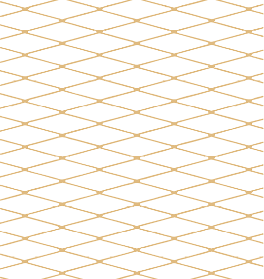 תמונת בלורן