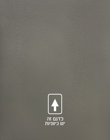 תמונת בלורן