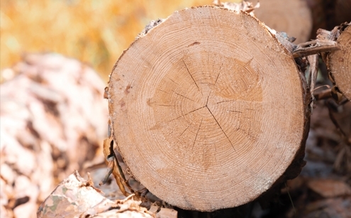 בלורן משיקה את חומר הגלם הטוב בעולם - HPL עם ליבת LSB