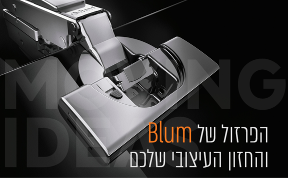 הפתרונות של BLUM והחזון העיצובי שלכם