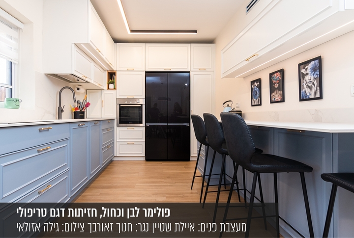 עיצוב דלת המטבח - בואו לעצב את החזיתות שלכם | בלורן פרזול