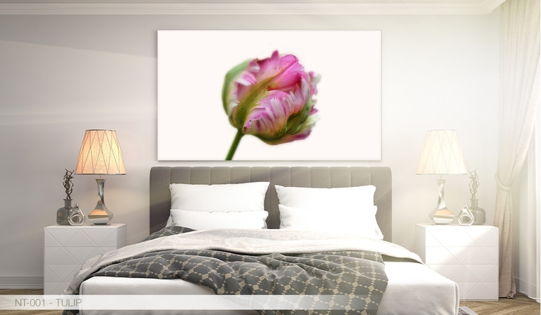 תמונות של טבע להדפסה על זכוכית | בלורן פתרונות פרזול ועיצוב הבית תמונות של טבע להדפסה על זכוכית | בלורן פתרונות פרזול ועיצוב הבית