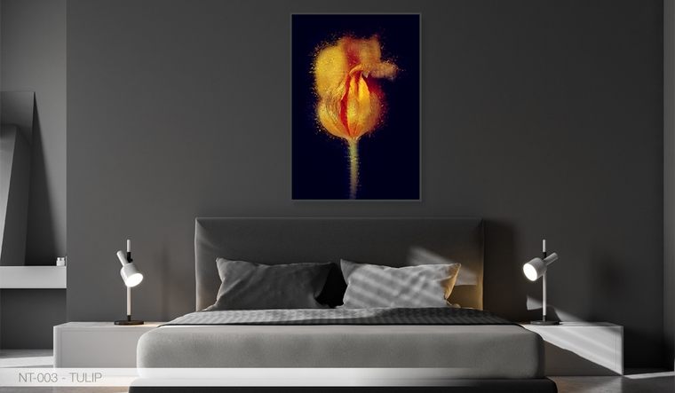 תמונות של טבע להדפסה על זכוכית | בלורן פתרונות פרזול ועיצוב הבית תמונות של טבע להדפסה על זכוכית | בלורן פתרונות פרזול ועיצוב הבית